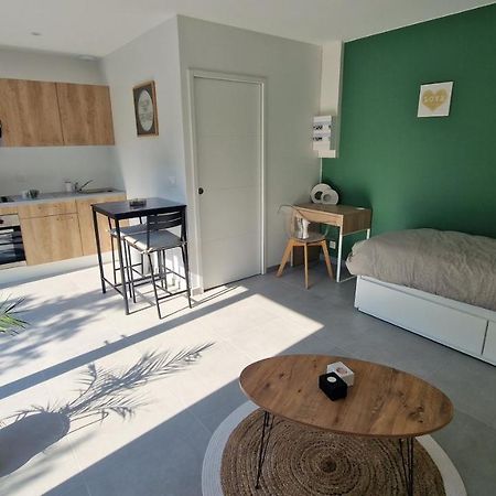 Le Patio : Studio Avec Exterieur Saint-Barthelemy-d'Anjou Extérieur photo